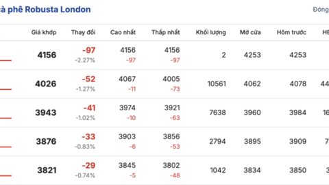 Giá cà phê hôm nay 23/1/2026: Bật tăng mạnh mẽ