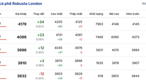 Giá cà phê hôm nay 30/1/2026: Đảo chiều giảm nhẹ