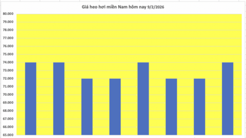Giá heo hơi hôm nay 9/2/2026: Tiếp tục giảm nhiều nơi