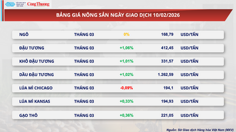 Áp lực cung - cầu đẩy giá ca cao lao dốc