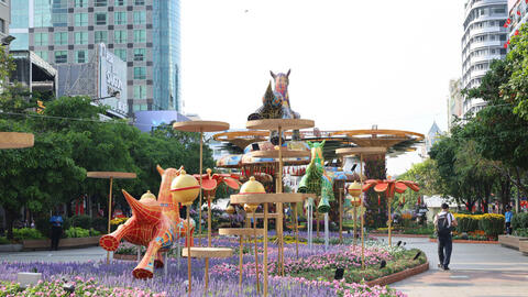 TP. Hồ Chí Minh: Hơn 1,8 triệu lượt khách tham quan đường hoa tết Bính Ngọ