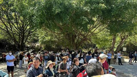 Gia Lai thu hút 850.000 lượt khách, doanh thu 900 tỷ đồng dịp Tết