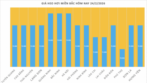 Giá heo hơi hôm nay 24/2/2026: Giảm vài nơi tại miền Trung và miền Nam