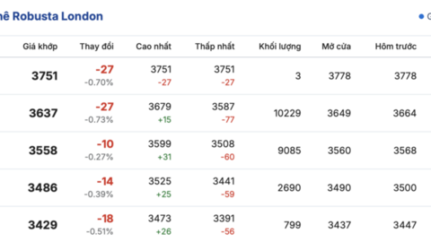 Giá cà phê hôm nay 24/3/2026: Giữ mốc 94.000 đồng/kg