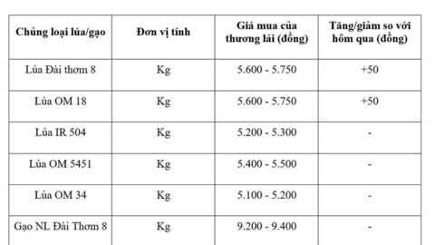 Giá lúa gạo hôm nay ngày 1/4: Đài Thơm 8 tăng nhẹ
