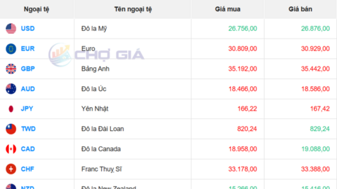 Tỷ giá USD hôm nay 10/4/2026: 'Chợ đen' tăng hơn 20 đồng