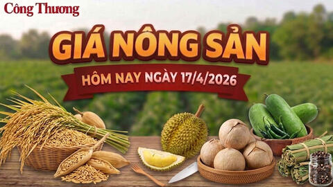 Giá nông sản hôm nay 17/4/2026: Đồng loạt giảm sâu
