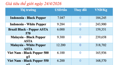 Giá tiêu hôm nay 24/4/2026: Đi ngang, cao nhất 142.000 đồng/kg