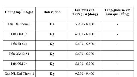 Giá lúa gạo hôm nay ngày 28/4: Thị trường 'lặng sóng'