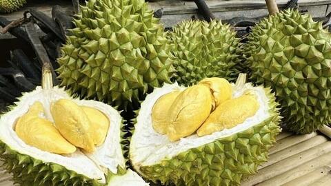 Giá nông sản hôm nay, ngày 29/4: Thị trường tăng, giảm trái chiều