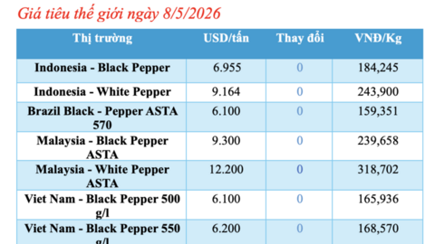 Giá tiêu hôm nay 8/5/2026: Duy trì bình ổn