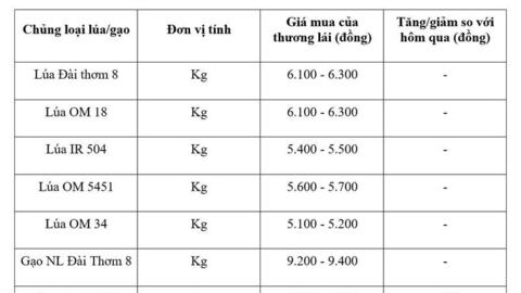 Giá lúa gạo hôm nay ngày 8/5: Gạo nguyên liệu xuất khẩu đảo chiều giảm