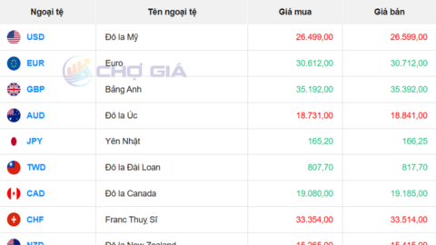 Tỷ giá USD hôm nay 20/5/2026: USD chợ đen giảm, thế giới vẫn neo cao