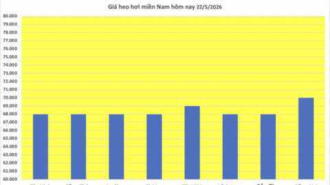 Giá heo hơi hôm nay 22/5/2026: Tăng duy nhất tại 1 địa phương
