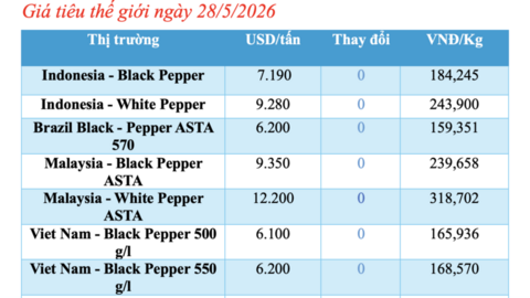 Giá tiêu hôm nay 28/5/2026: Đi ngang trên diện rộng