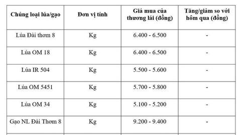 Giá lúa gạo hôm nay ngày 9/6/2026: Gạo xuất khẩu đảo chiều giảm nhẹ