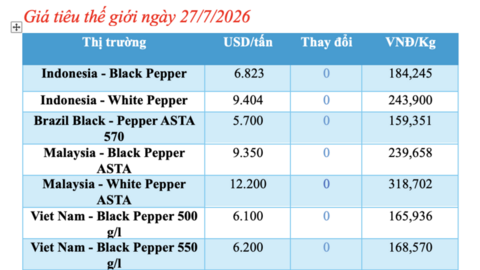 Giá tiêu hôm nay 27/7/2026: Đi ngang, cao nhất 141.000 đồng/kg