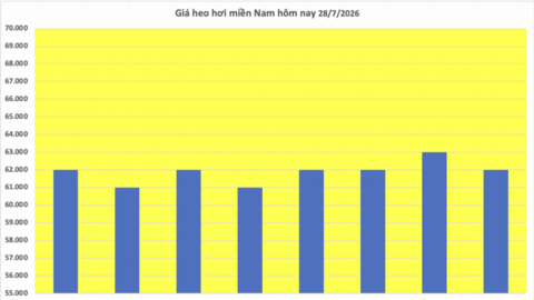 Giá heo hơi hôm nay 28/7/2026: Giảm 1.000 đồng/kg tại nhiều nơi