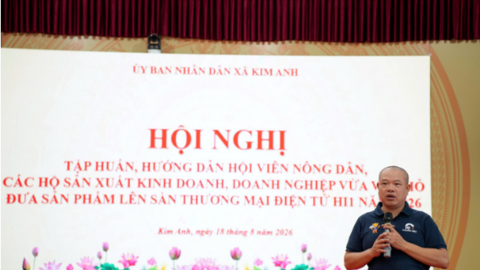 Nông dân, hộ kinh doanh bán hàng trên thương mại điện tử: Hiệu quả 'đo' bằng gì?