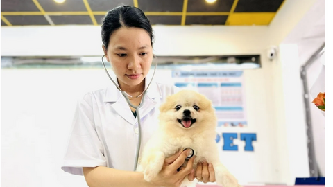 Ngành thú cưng tìm dư địa tăng trưởng từ hệ sinh thái dịch vụ