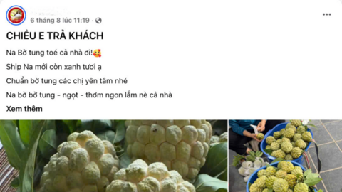Na vào chính vụ: Nguồn cung dồi dào, thị trường sôi động