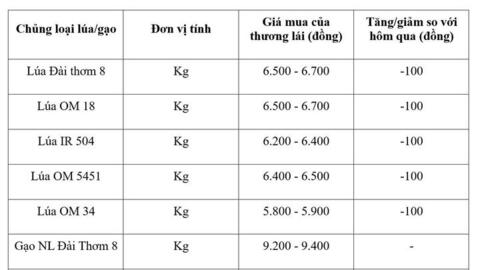 Giá lúa gạo hôm nay ngày 3/9/2026: Lúa tươi đồng loạt giảm