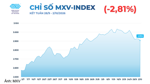 Sắc đỏ bao trùm thị trường hàng hóa, MXV-Index giảm 2,81%