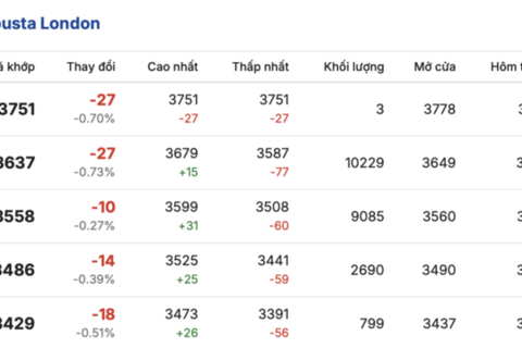 Giá cà phê hôm nay 24/3/2026: Giữ mốc 94.000 đồng/kg