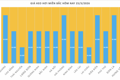 Giá heo hơi hôm nay 25/3/2026: Tiếp tục giảm sâu tại miền Bắc