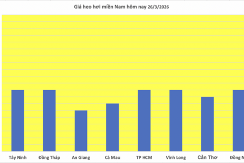 Giá heo hơi hôm nay 26/3: Đi ngang, cao nhất đạt 69.000 đồng/kg
