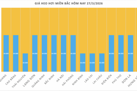 Giá heo hơi hôm nay 27/3/2026: Giảm tại miền Bắc