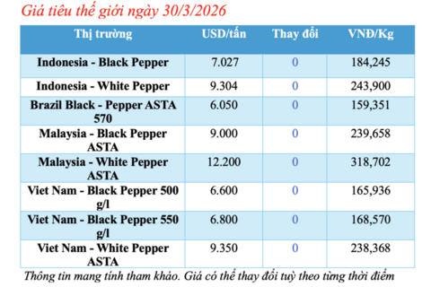 Giá tiêu hôm nay 30/3/2026: Cao nhất đạt 140.500 đồng/kg