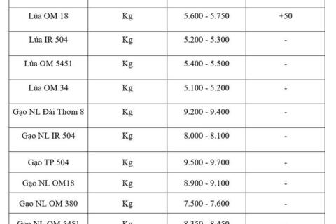 Giá lúa gạo hôm nay ngày 31/3: Lúa tươi tăng nhẹ