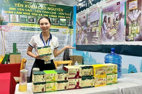 Quý I, sản xuất công nghiệp tỉnh Gia Lai tăng 8,92%