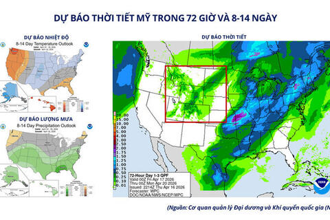 Giá lúa mì tăng mạnh do lo ngại thời tiết, nguồn cung thắt chặt