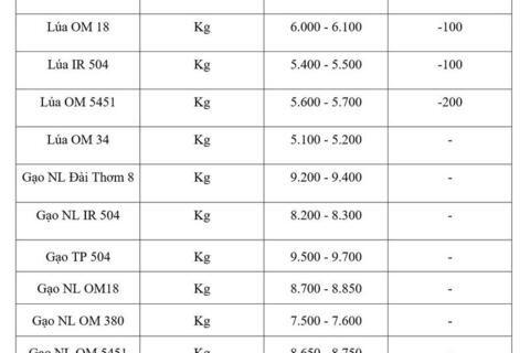 Giá lúa gạo hôm nay ngày 24/4/2026: Lúa tươi đồng loạt giảm nhẹ