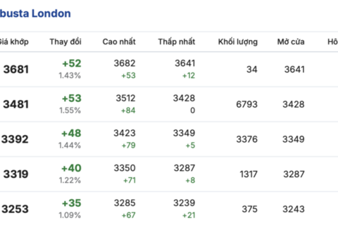 Giá cà phê hôm nay 29/4/2026: Đồng loạt giảm 1.000 đồng