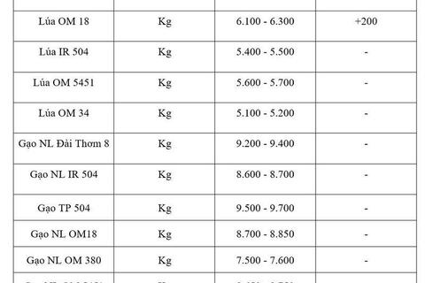 Giá lúa gạo hôm nay ngày 5/5: Lúa tươi đảo chiều tăng