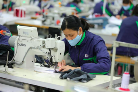 Việt Nam góp sức định hình trung tâm sản xuất dệt may khu vực ASEAN
