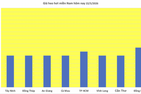 Giá heo hơi hôm nay 22/5/2026: Tăng duy nhất tại 1 địa phương