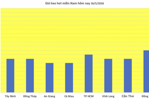 Giá heo hơi hôm nay 26/5/2026: Tăng vài nơi