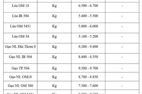 Giá lúa gạo hôm nay ngày 28/5/2026: Gạo thơm dẻo xuất khẩu neo cao