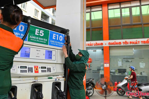 Đề nghị 3 hãng xe xác minh khả năng tương thích với xăng E10