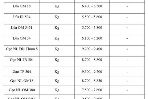 Giá lúa gạo hôm nay ngày 9/6/2026: Gạo xuất khẩu đảo chiều giảm nhẹ
