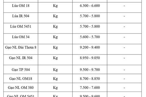 Giá lúa gạo hôm nay ngày 10/7/2026: Gạo Đài Thơm tăng 500 đồng/kg