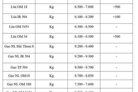 Giá lúa gạo hôm nay ngày 17/7/2026: Lúa tươi tiếp đà tăng mạnh