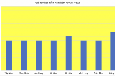 Giá heo hơi hôm nay 19/7/2026: Cao nhất 67.000 đồng/kg