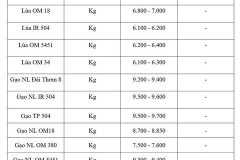 Giá lúa gạo hôm nay ngày 23/7: Gạo thơm Jasmine tăng 1.000 đồng/kg