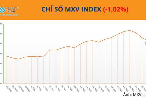 Giá cà phê tăng mạnh, tồn kho Arabica xuống mức thấp nhất