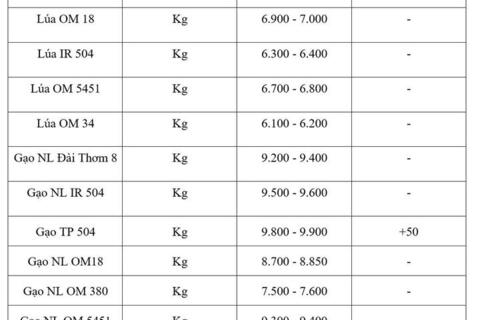 Giá lúa gạo hôm nay ngày 12/8: Gạo nguyên liệu xuất khẩu tiếp đà tăng